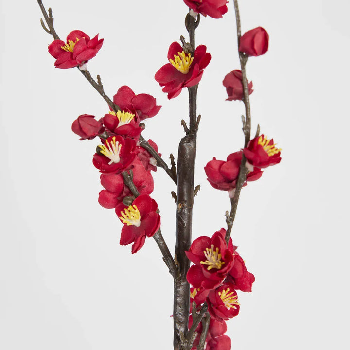 Japonica Blossom Stem | Red