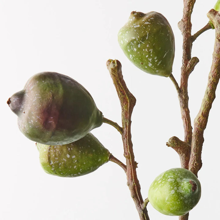 Faux Fig Spray