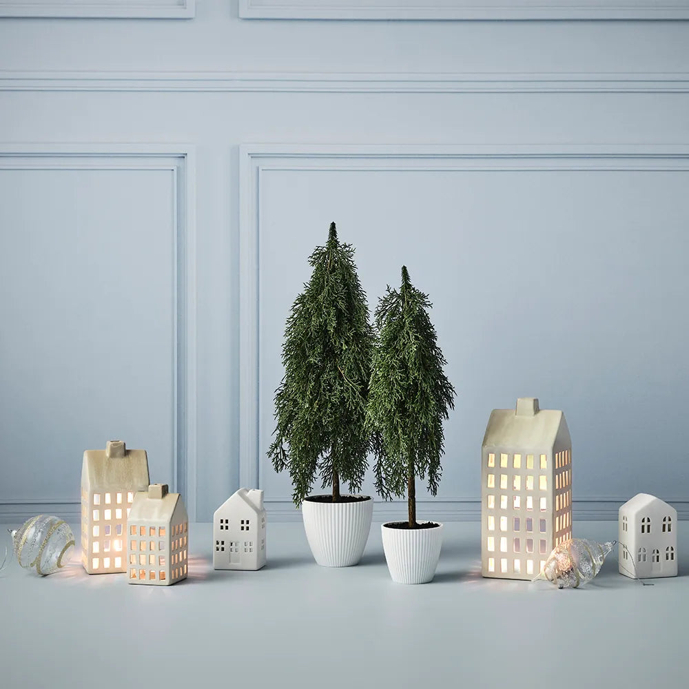 Cypress Pine Tree in Pot 58cmH