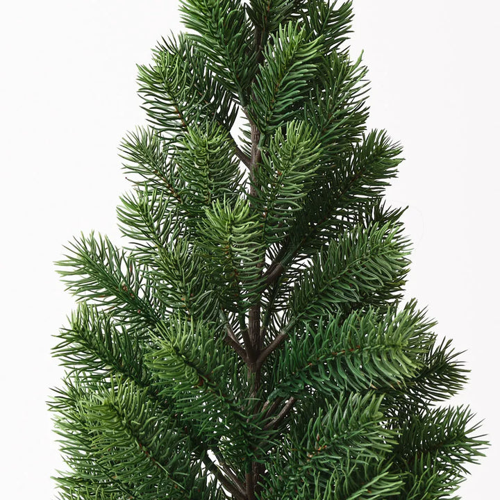 Virginia Fir Tree In Pot 60cmH
