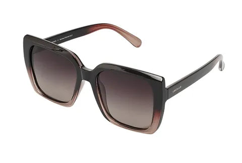 Polarised Sunglasses 3908A Mackenzie Omber Plum 1YR WARR