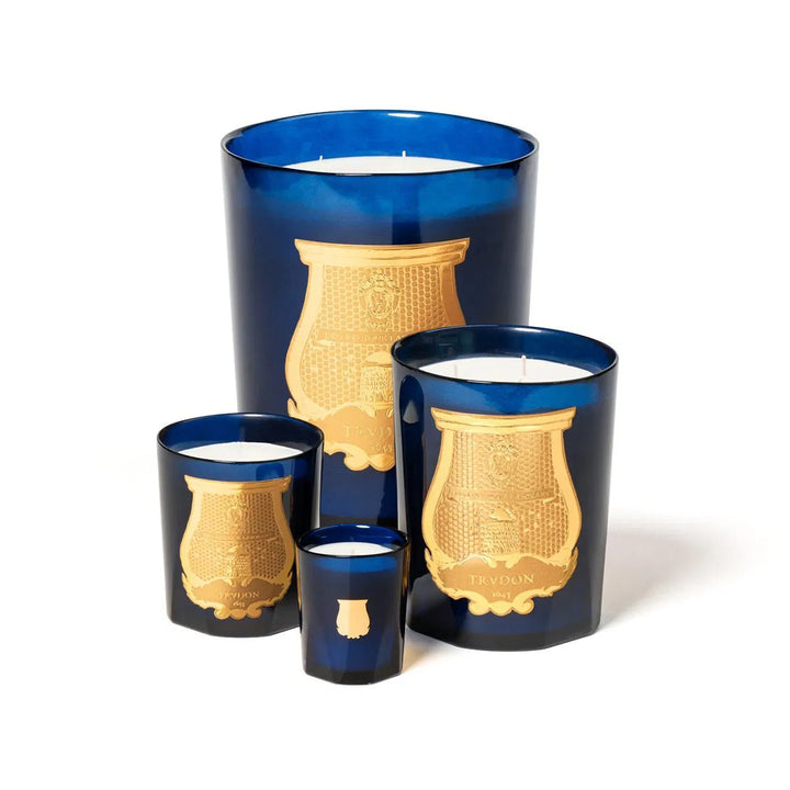 Trudon Madurai Candle | 270g | Splendour of Indian jasmine