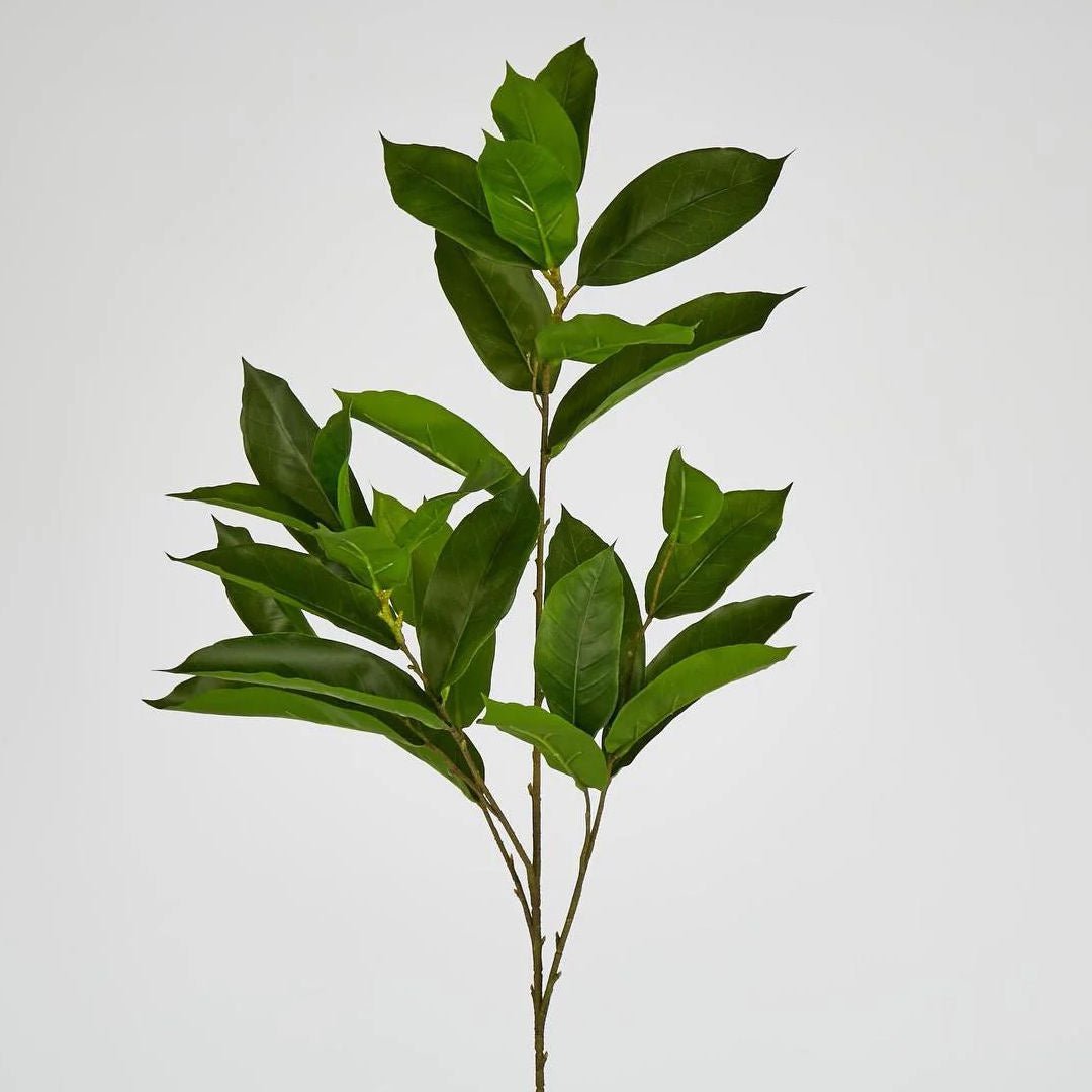 Faux Glossy Flat Leaf Spray 100cm - Suzie Anderson Home