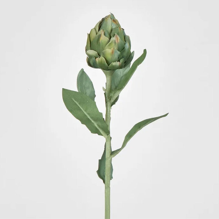 Faux Green Artichoke Stem | 58cm - Suzie Anderson Home