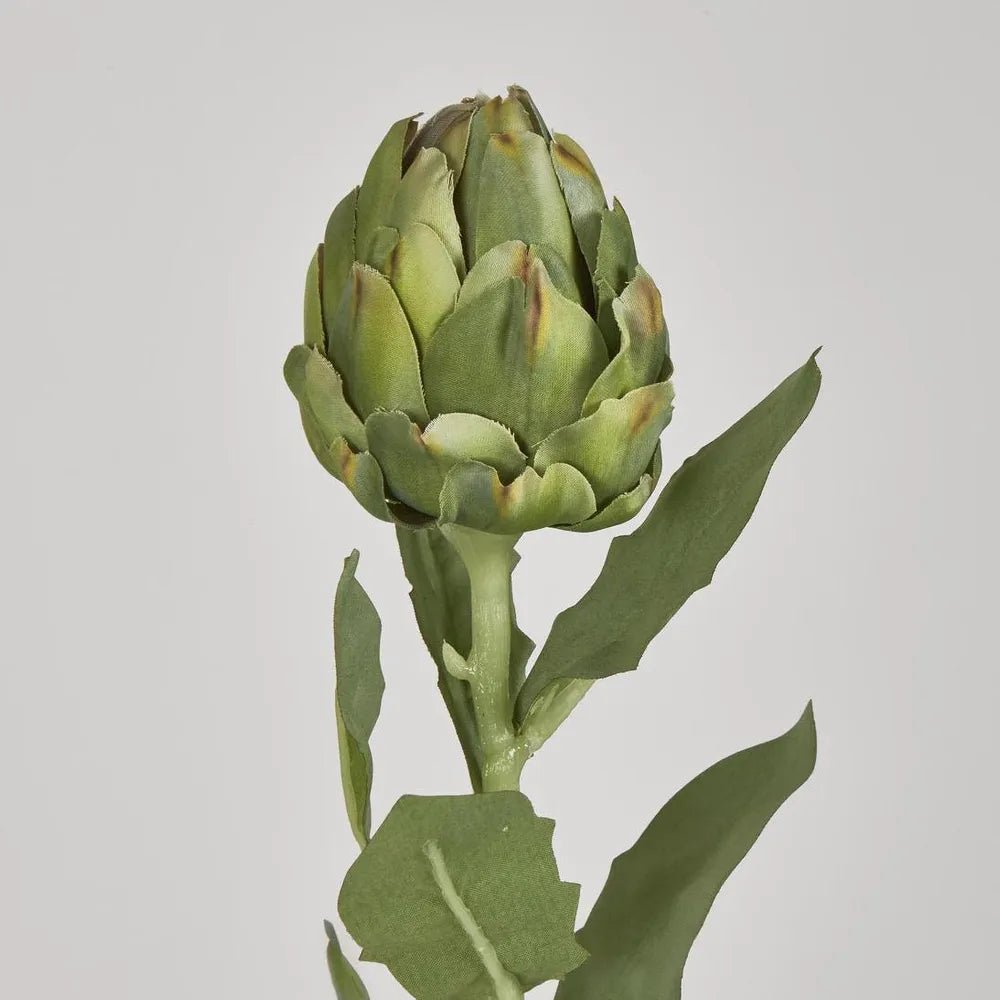 Faux Green Artichoke Stem | 58cm - Suzie Anderson Home