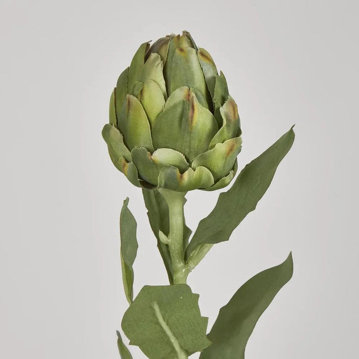 Faux Green Artichoke Stem | 58cm - Suzie Anderson Home
