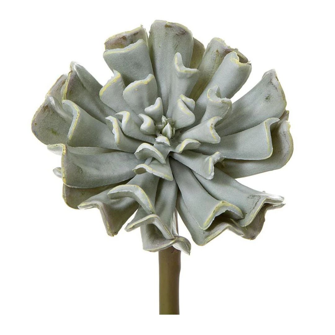 Faux Grey Wash Succulent - Suzie Anderson Home