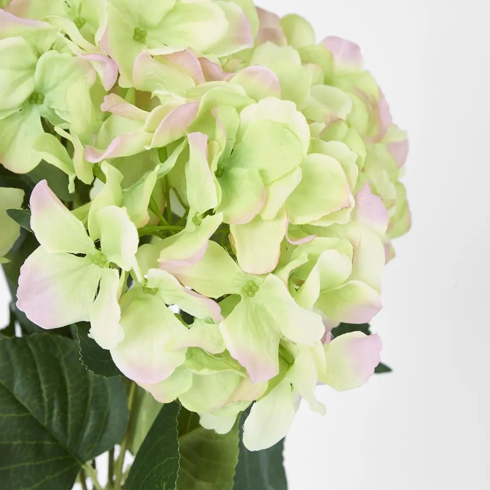 Faux Hydrangea Bundle Green & Pink | 55cm - Suzie Anderson Home