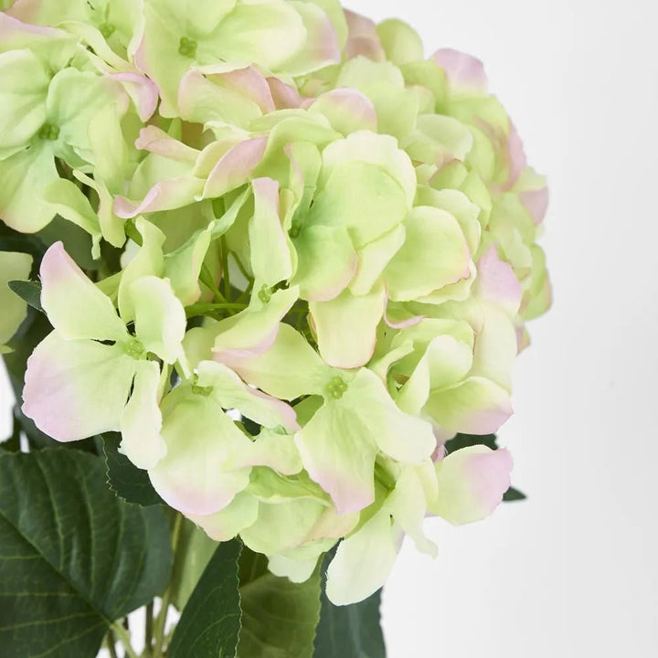 Faux Hydrangea Bundle Green & Pink | 55cm - Suzie Anderson Home