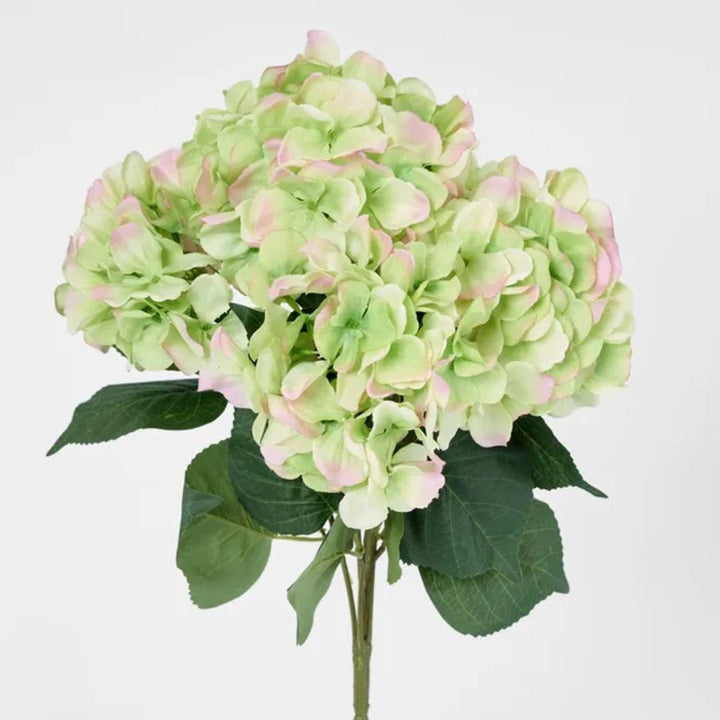 Faux Hydrangea Bundle Green & Pink | 55cm - Suzie Anderson Home