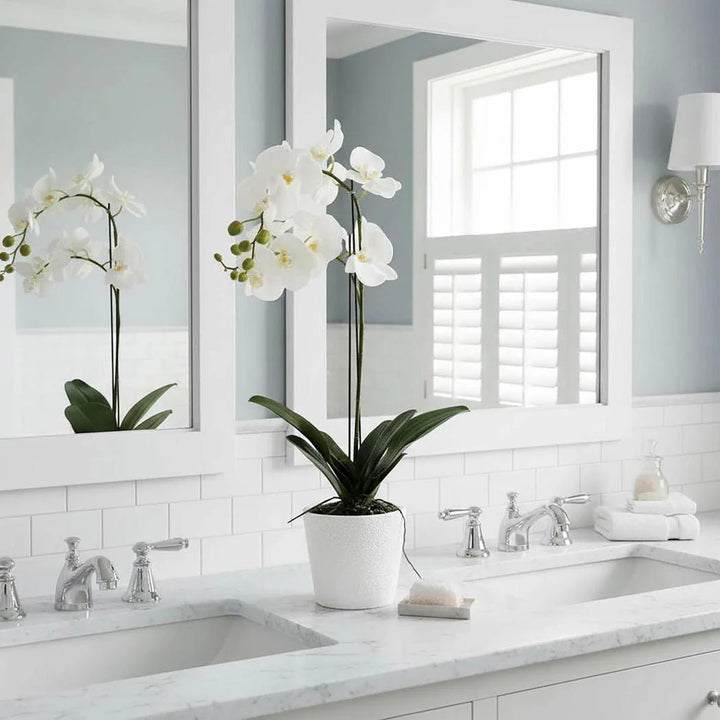 Faux Orchid in Clay Pot | White | 84cm - Suzie Anderson Home