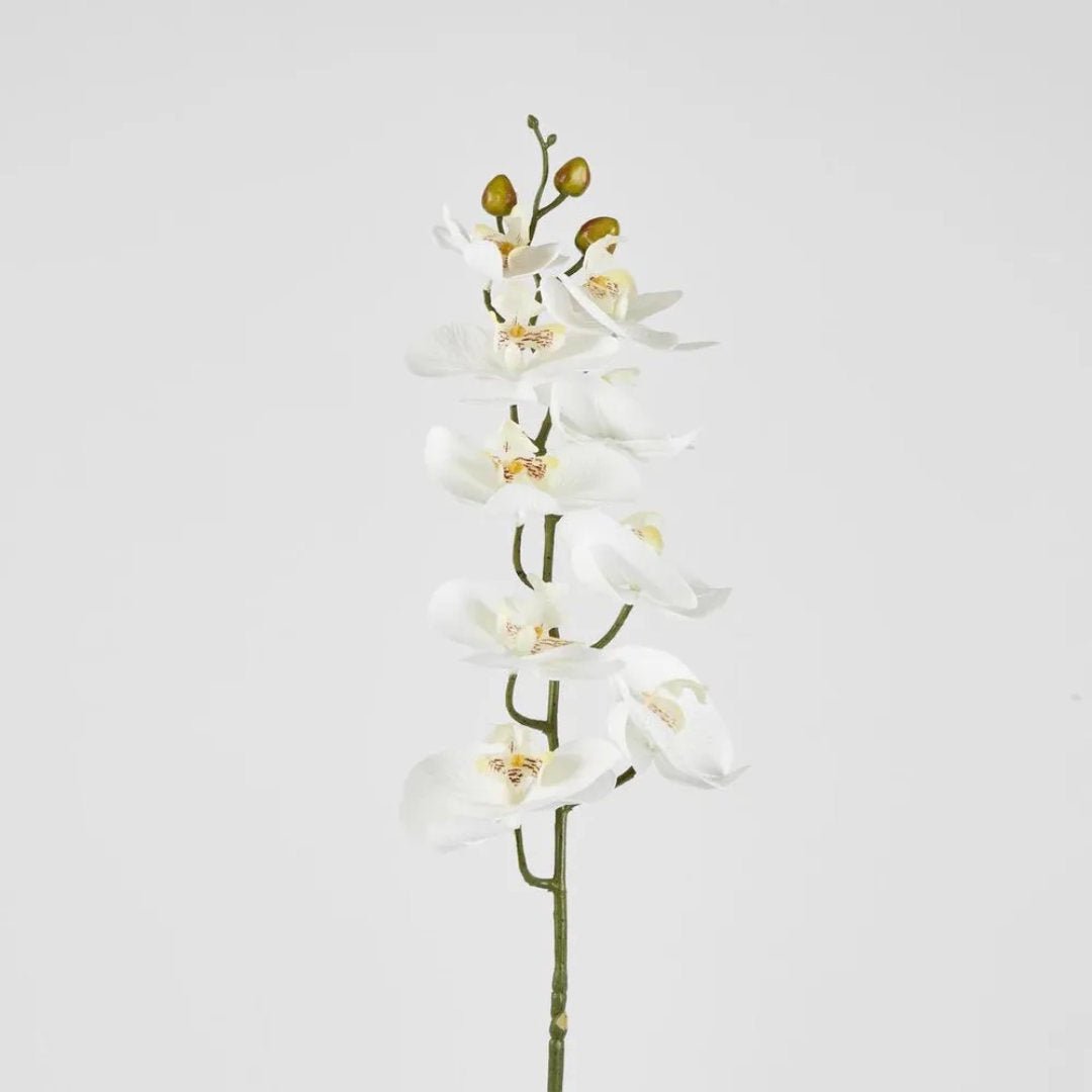 Faux Phalenopsis Orchid Stem | White - Suzie Anderson Home