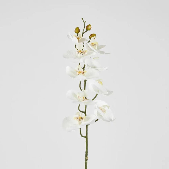 Faux Phalenopsis Orchid Stem | White - Suzie Anderson Home