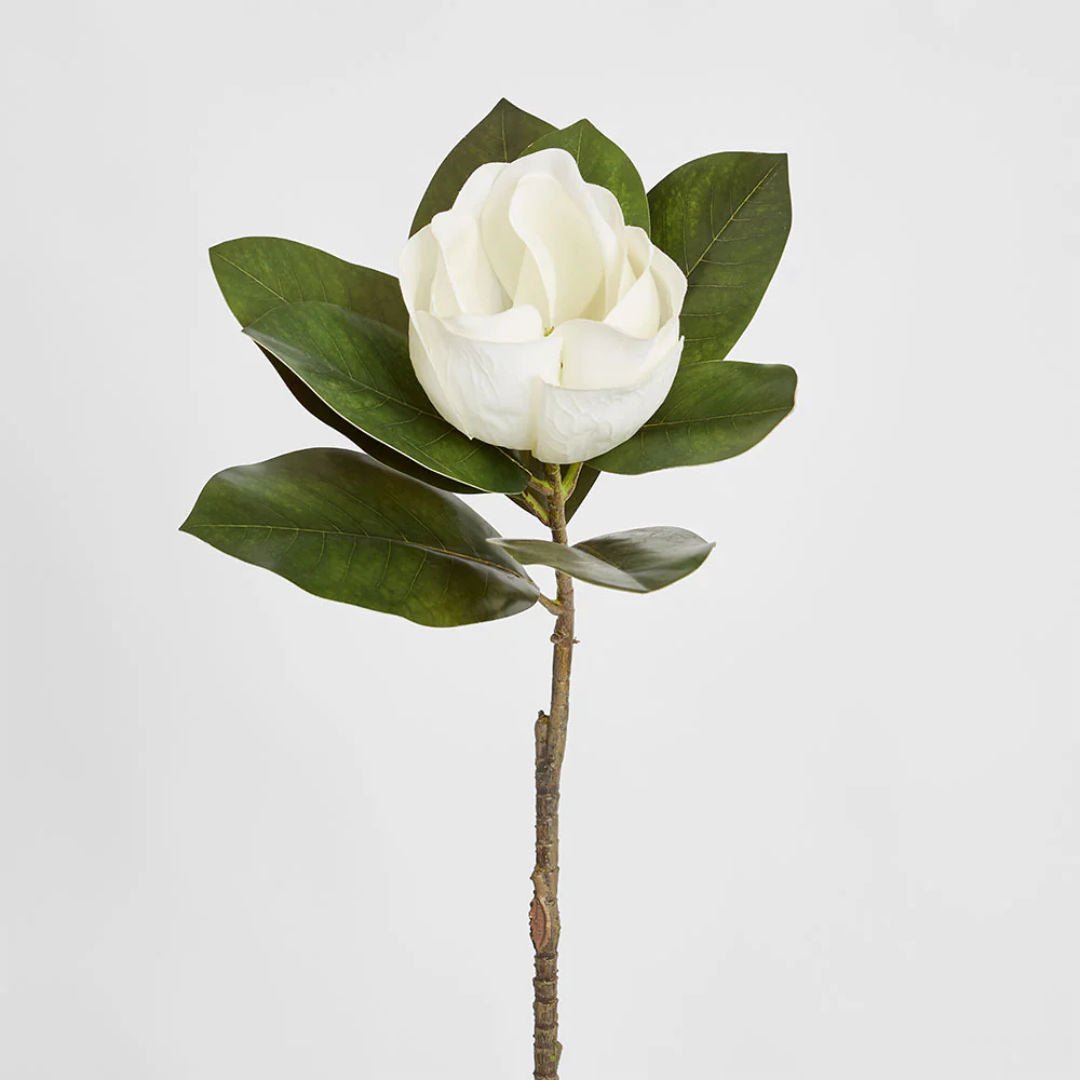 Faux Single Head Magnolia White 70cm - Suzie Anderson Home