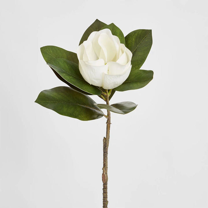 Faux Single Head Magnolia White 70cm - Suzie Anderson Home