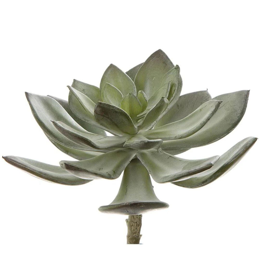 Faux Succulent Pearl Pick 15cm Grey - Suzie Anderson Home