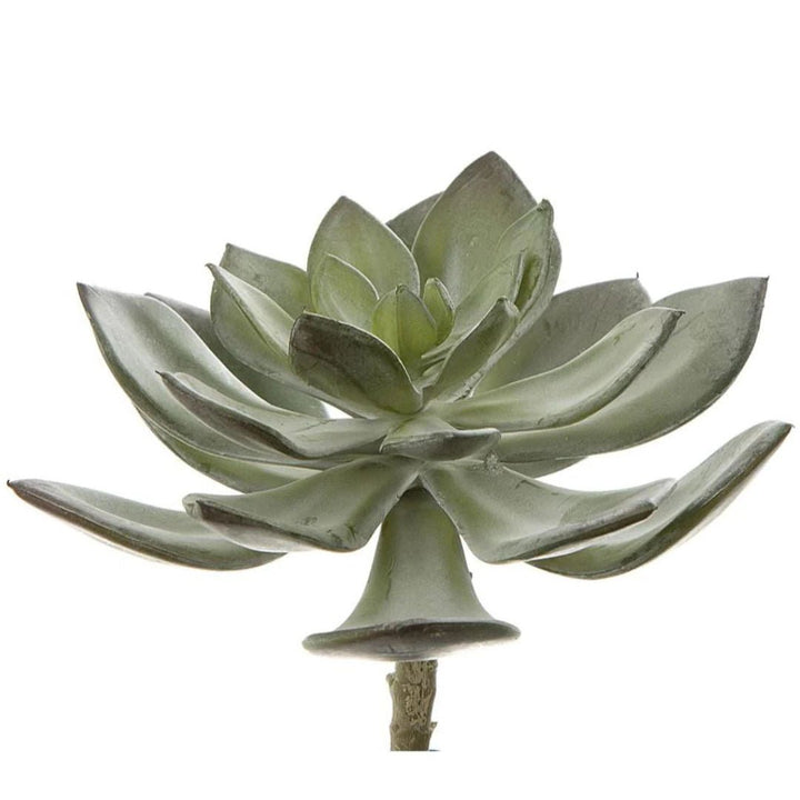 Faux Succulent Pearl Pick 15cm Grey - Suzie Anderson Home