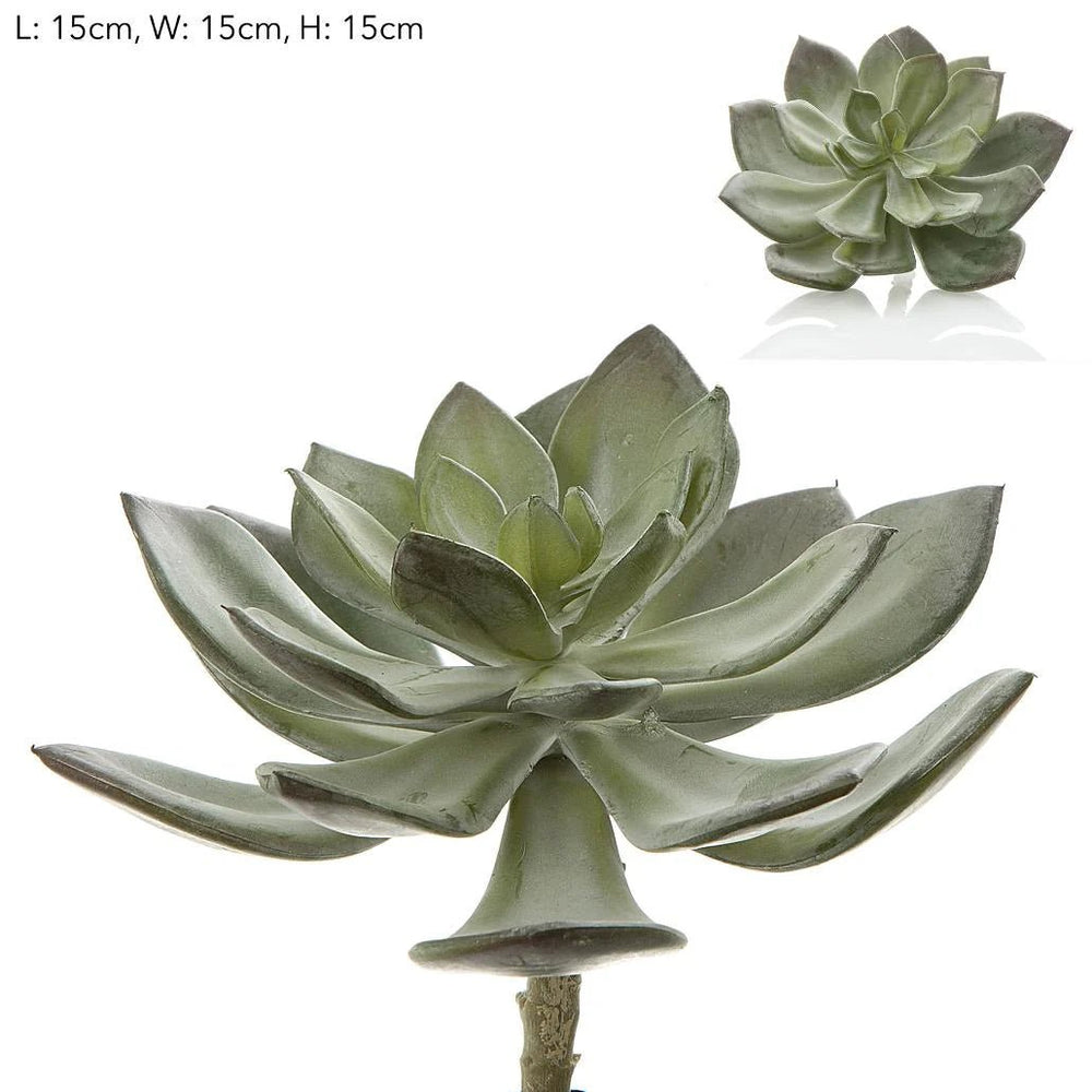 Faux Succulent Pearl Pick 15cm Grey - Suzie Anderson Home