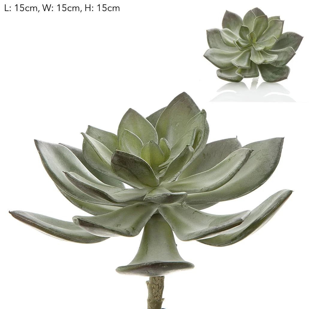 Faux Succulent Pearl Pick 15cm Grey - Suzie Anderson Home
