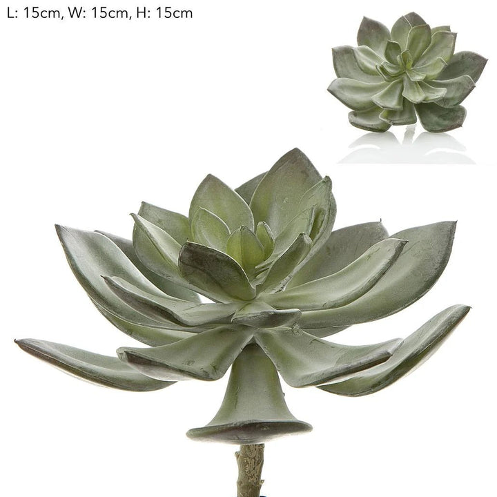 Faux Succulent Pearl Pick 15cm Grey - Suzie Anderson Home