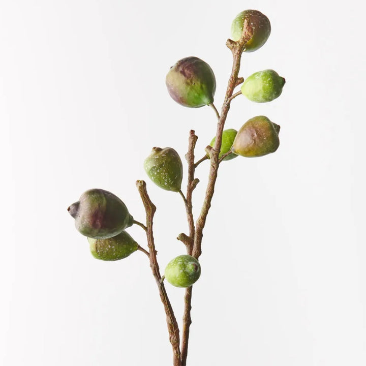 Faux Fig Spray