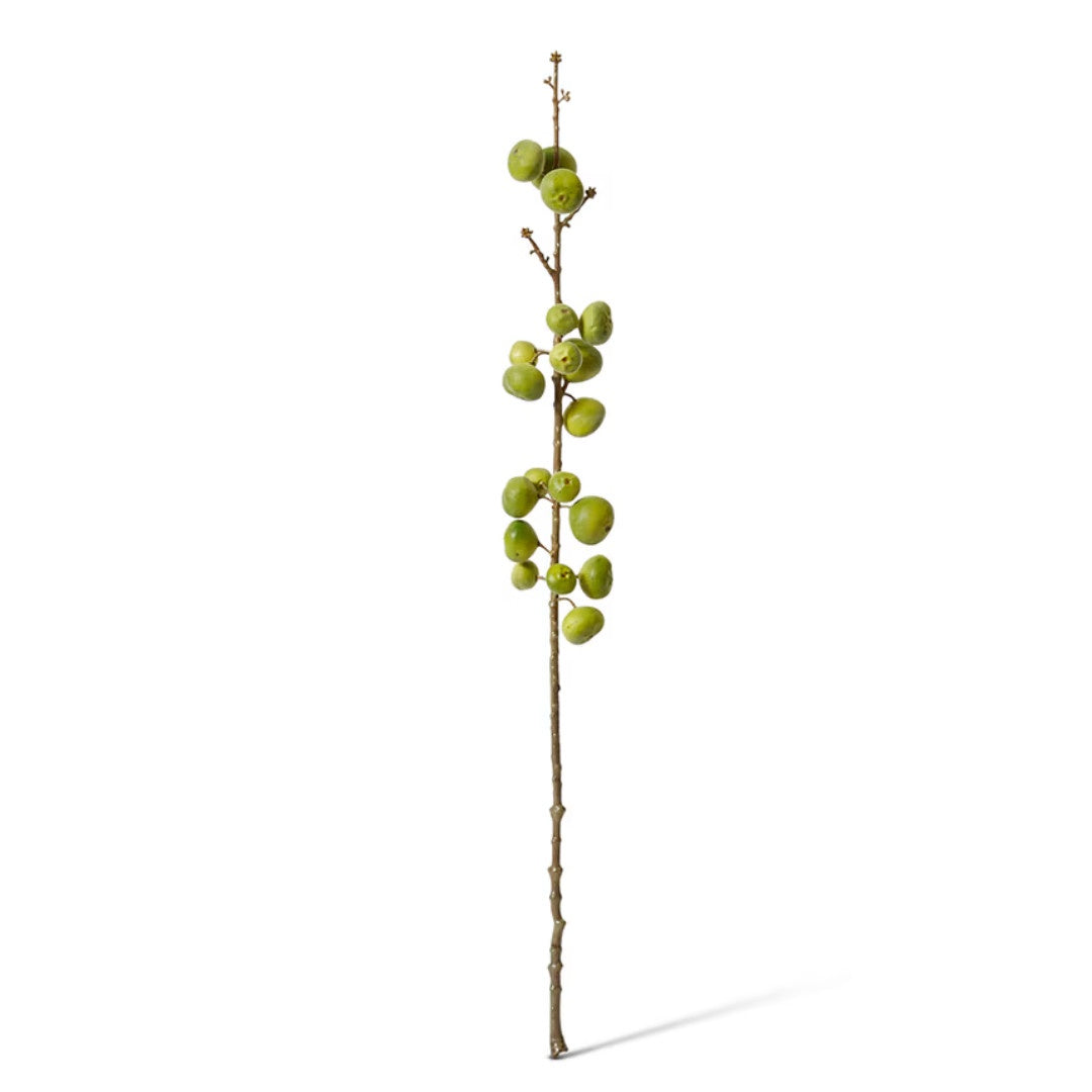 Faux Fig Stem | Green | 74cm