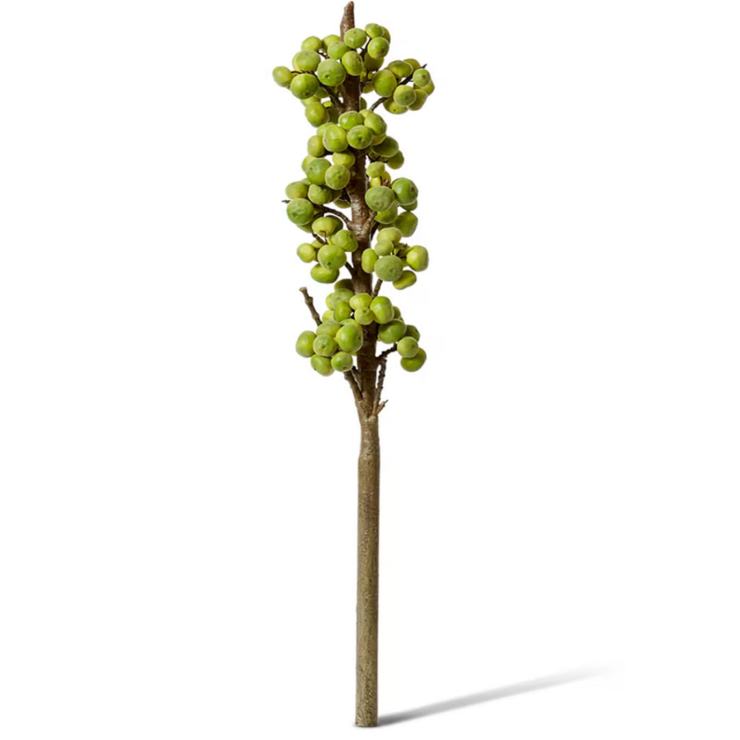 Green Fig Branch | 91cm