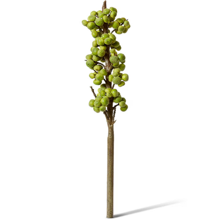 Green Fig Branch | 91cm