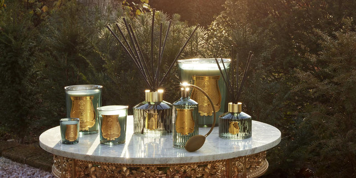 Trudon Classic Figuerie Candle | 270g | Royal Fig