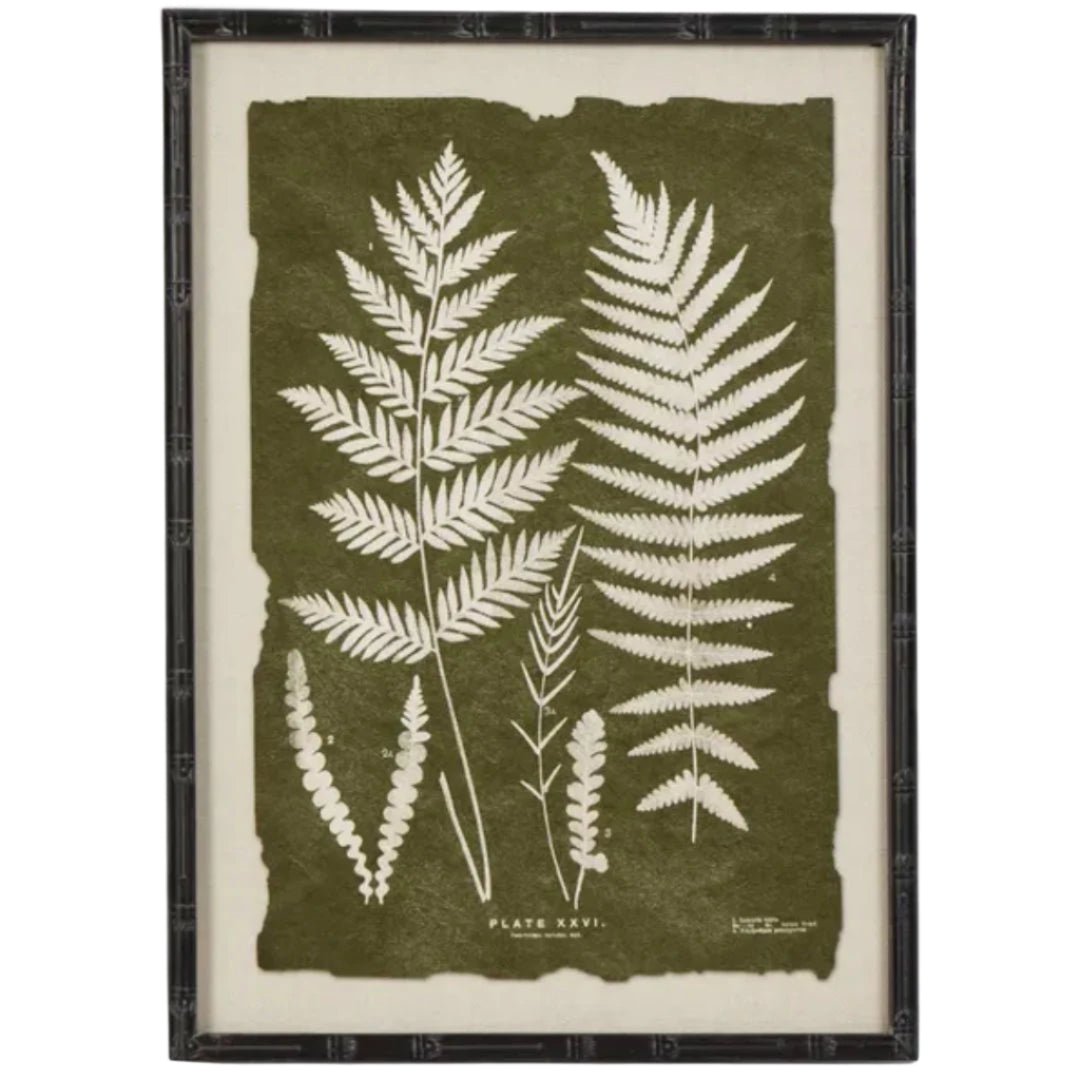 Framed Moss Leaf Wall Art 50 x 70cm | B - Suzie Anderson Home