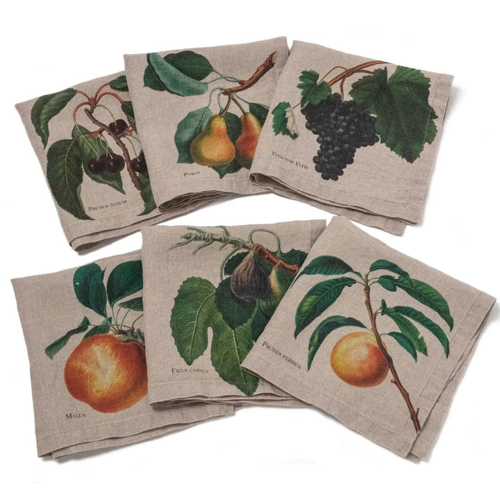 Fruits | Linen Napkin | Set of 6 Mixed