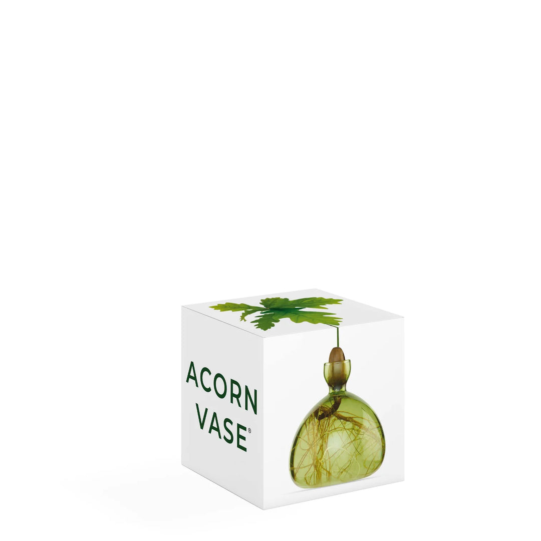 Acorn Propogation Vase | Coloured Grass Green (Acorn not included)