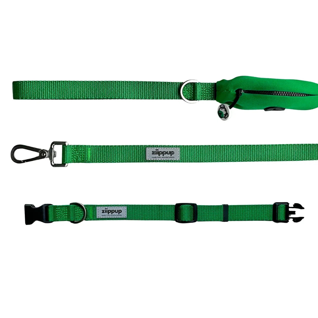 Ziippup | Dog Collar Green (BOWRAL)