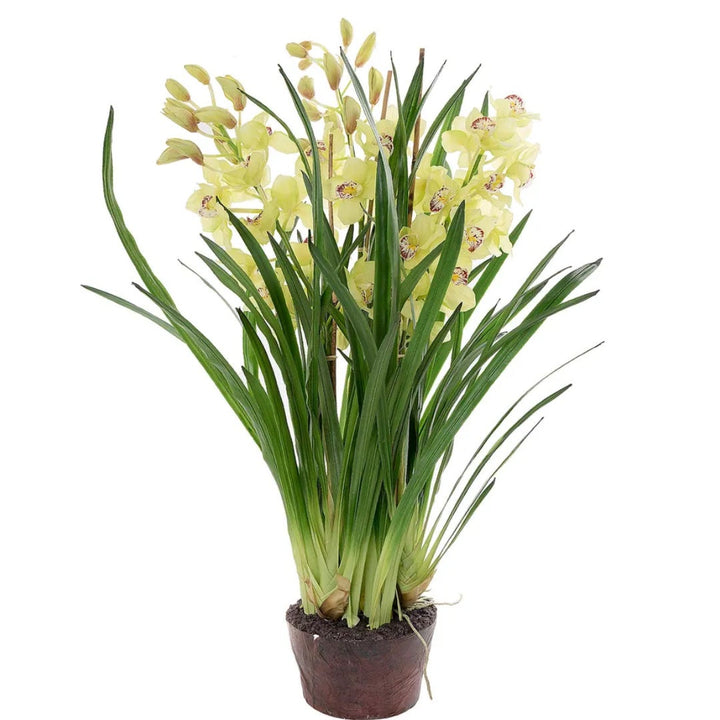 Cymbidium Giant Faux Plant 1.1m | Light Green