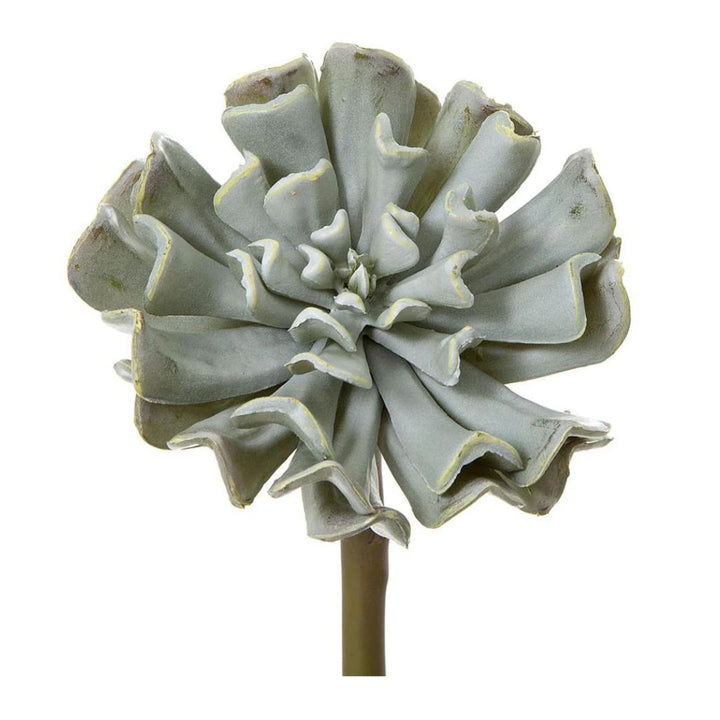 Faux Grey Wash Succulent