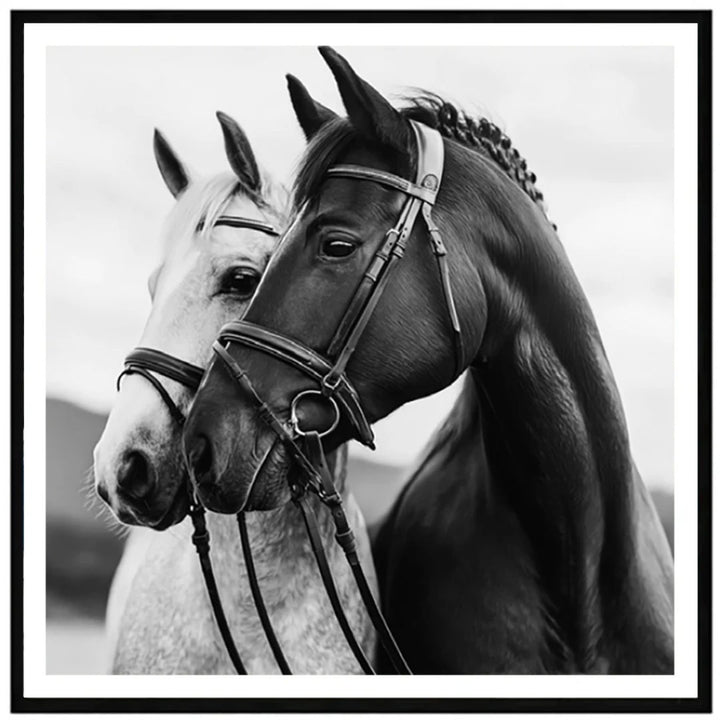 Heritage Horses Wall Art | Paper 2030 | Black Box Frame with White Border | 57.4 x 57.4cm