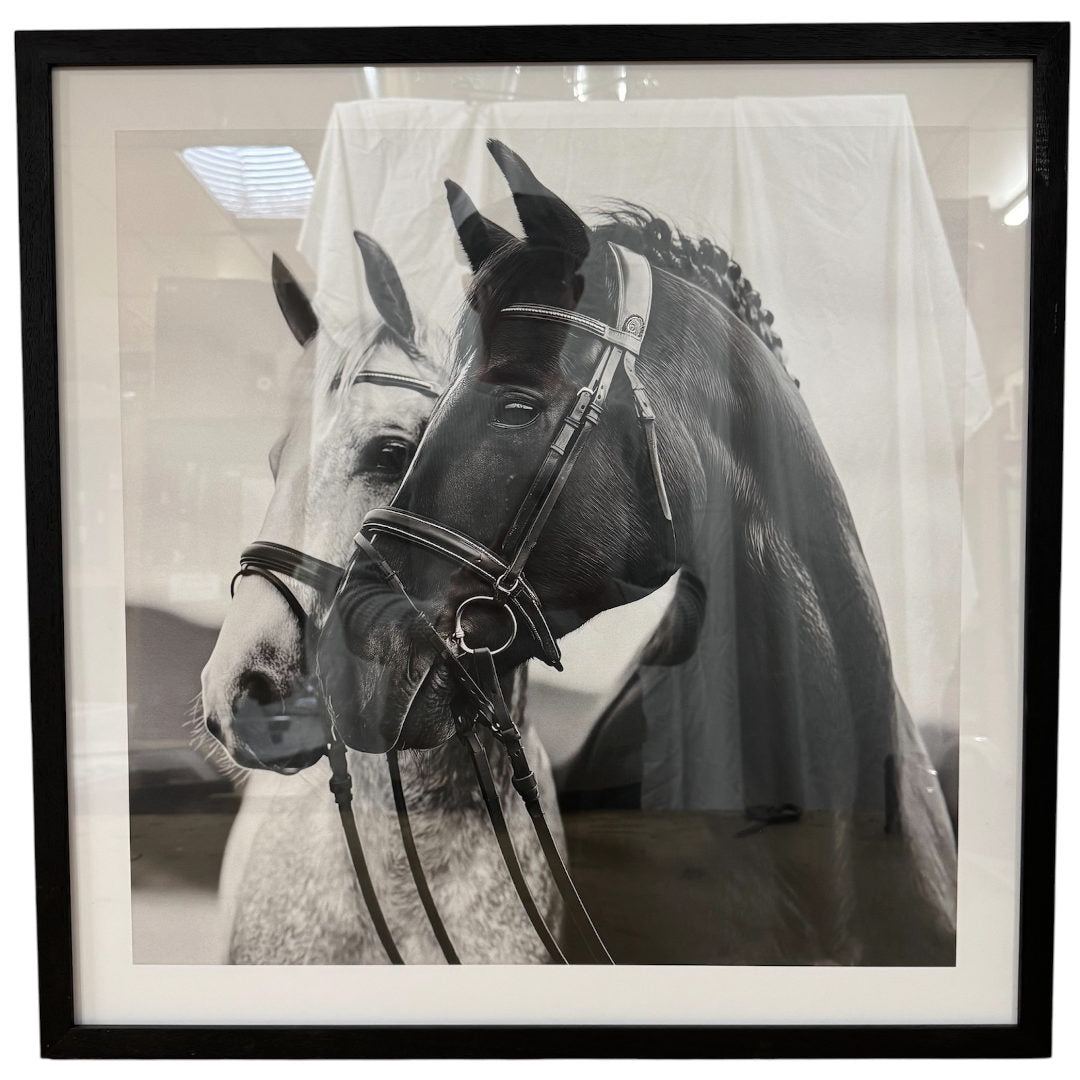 Heritage Horses Wall Art | Paper 2030 | Black Box Frame with White Border | 57.4 x 57.4cm