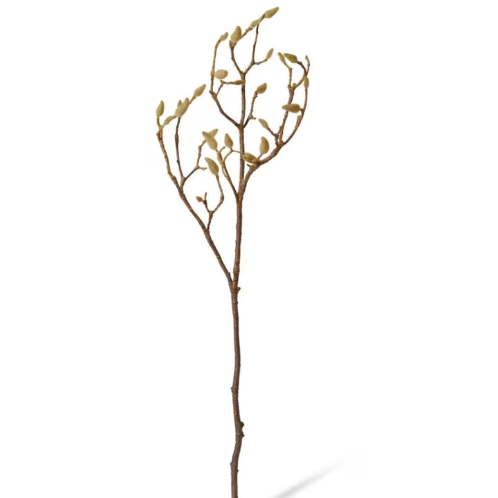 Faux Magnolia Bud Branch | Natural | 86cm