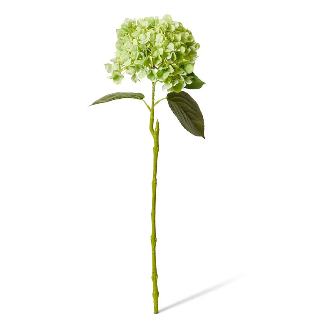 Hydrangea Bloom Stem | Green