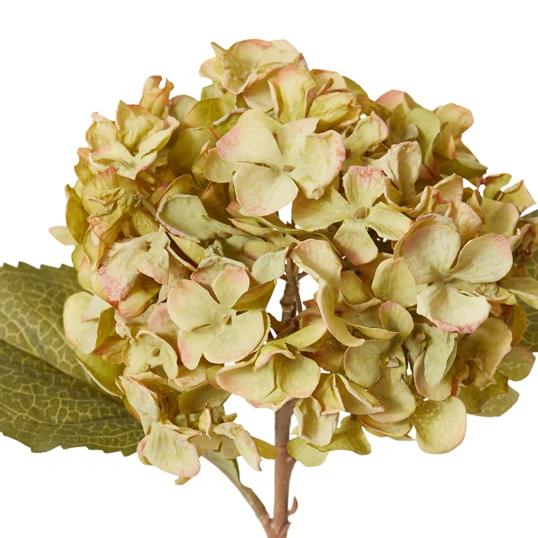Faux Hydrangea Rapture Stem | Dusty Green | 47cm