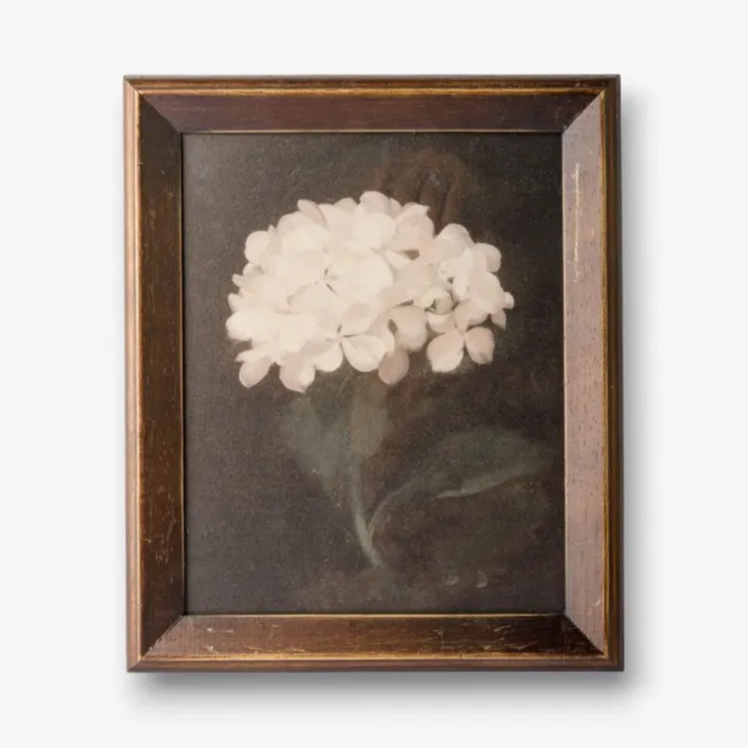 Single Hydrangea Framed Art | 25 x 30cm
