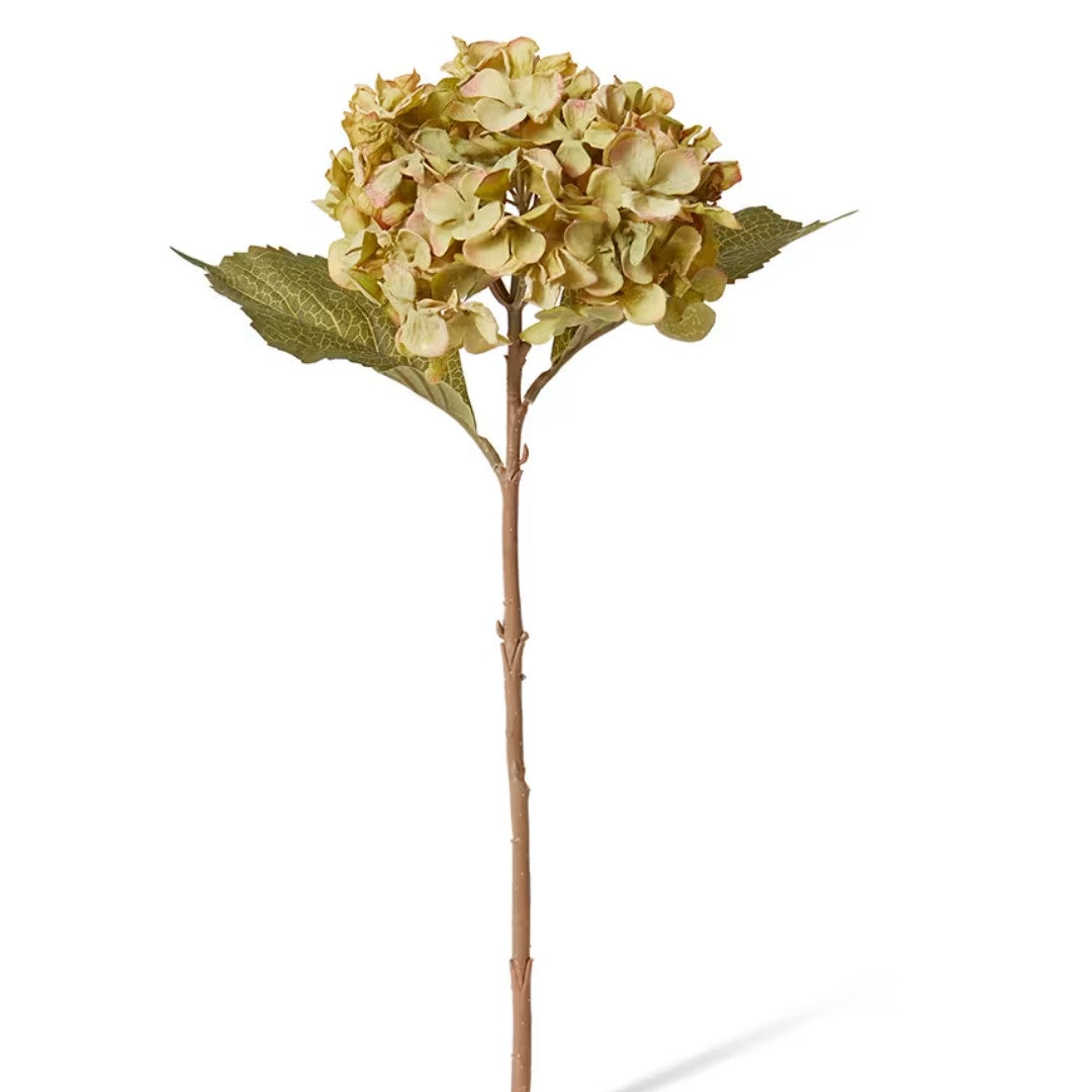 Faux Hydrangea Rapture Stem | Dusty Green | 47cm