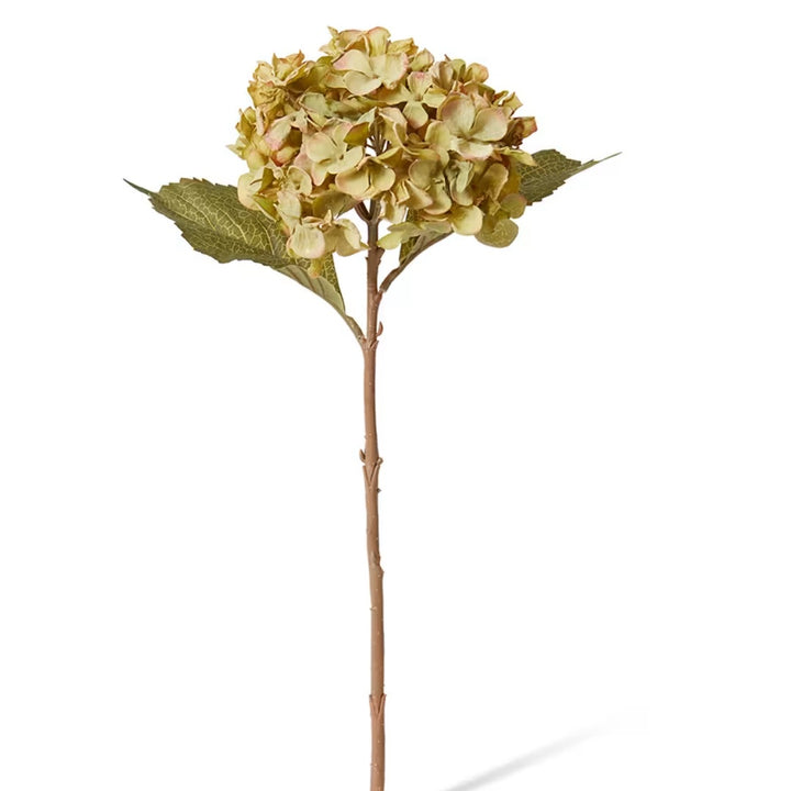 Faux Hydrangea Rapture Stem | Dusty Green | 47cm