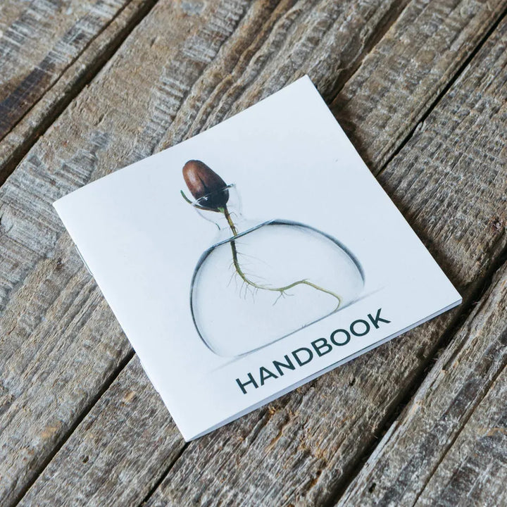 Acorn Propogation Vase | Coloured Mellow Yellow (Acorn not included)