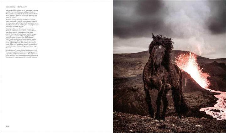 In the Land of Fire And Ice: Horses of Iceland - Suzie Anderson Home