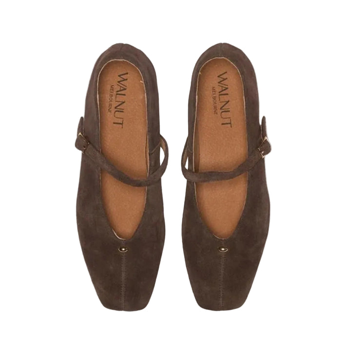 Walnut | Lennon Suede Leather Ballet Shoe | Chocolate Brown