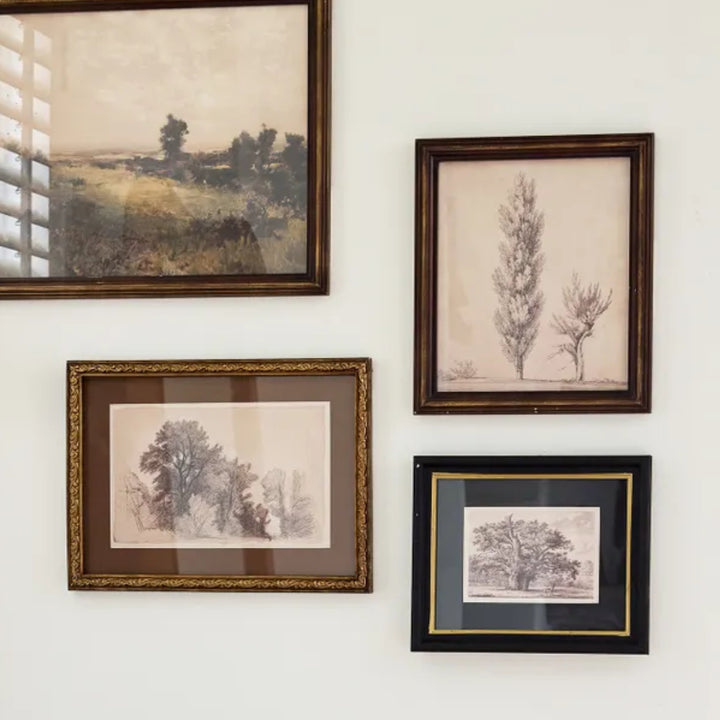 Pencilled Oak Tree Framed Art | 25 x 30cm