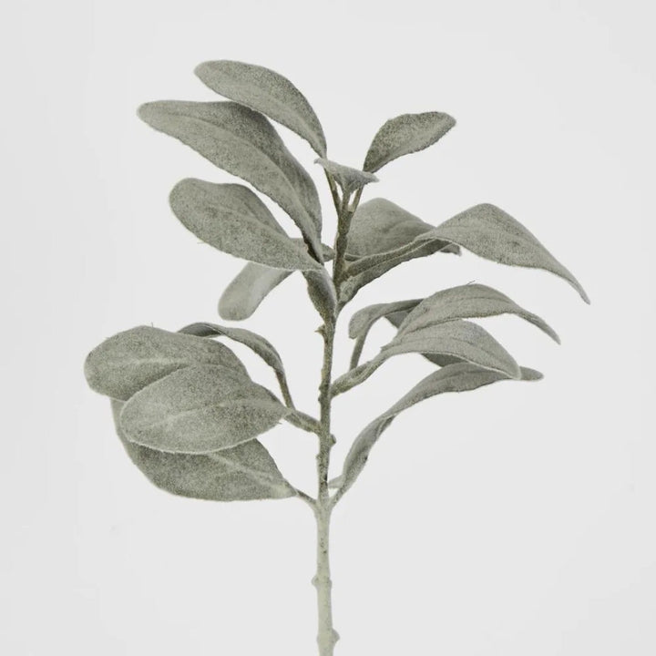 Olive Green Lambs Ear Spray | Short Stem
