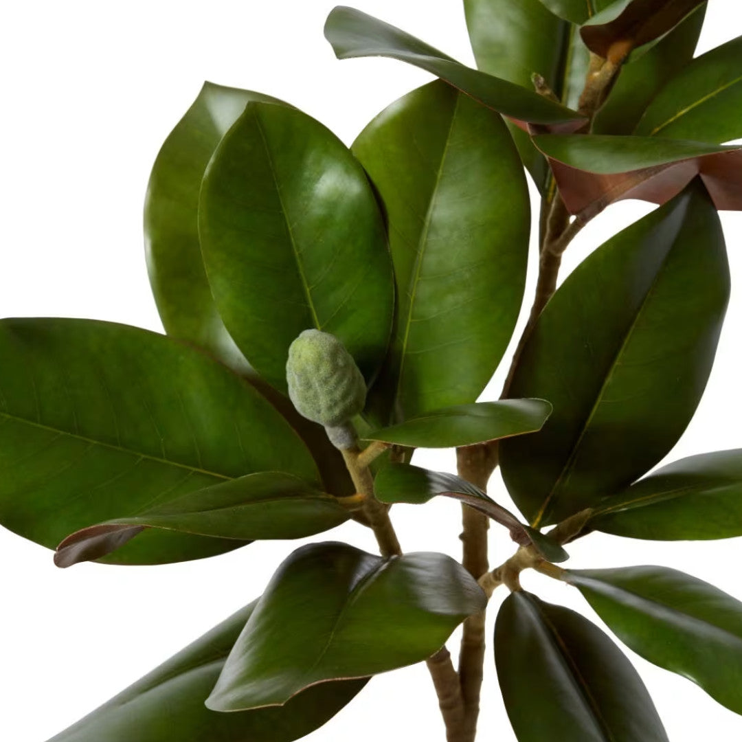 Faux Magnolia Grand Leaves Branch | Green | 82cm