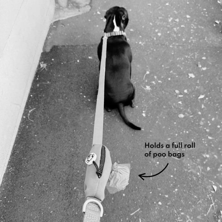 Ziippup  | Rainbow Dog Lead with Built in Pocket (BOWRAL)